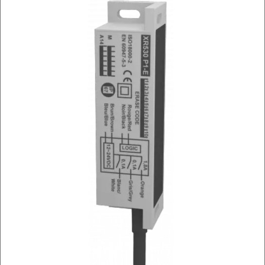 法国BTI带 RFID 编码的徽章门禁读卡器XR530