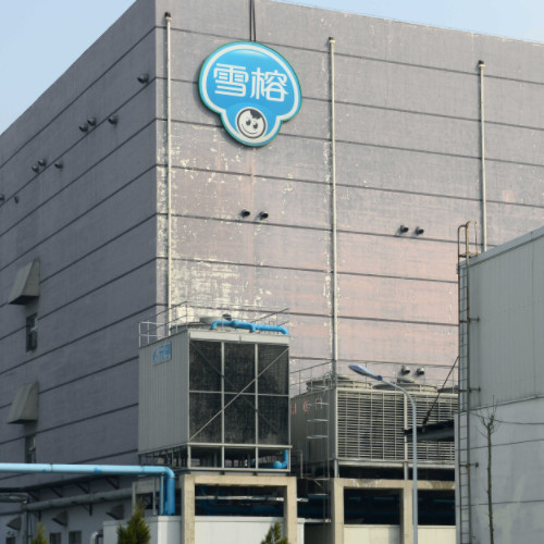上海雪榕生物科技股份有限公司.jpg