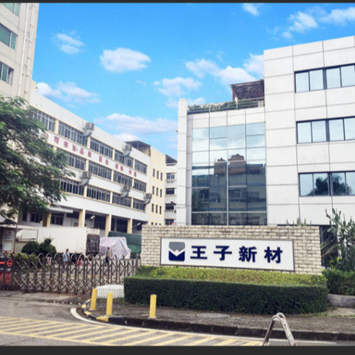 海南王子新材投资有限公司