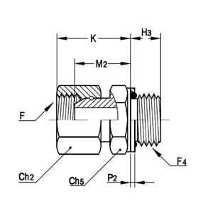 意大利RACFLUID 60° BSP 锥形密封管件4FG-1.1/2
