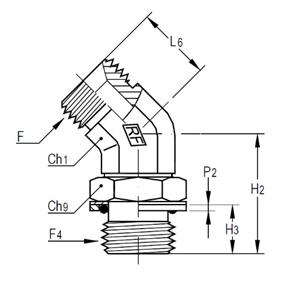 意大利RACFLUID 60° BSP 锥形密封管件4VO-1.1/2