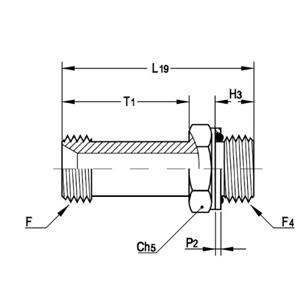 意大利RACFLUID 60° BSP 锥形密封管件4MA-1.1/2