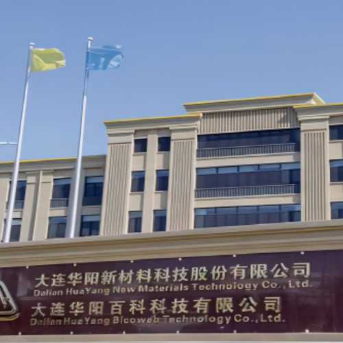 大连华阳新材料科技股份有限公司
