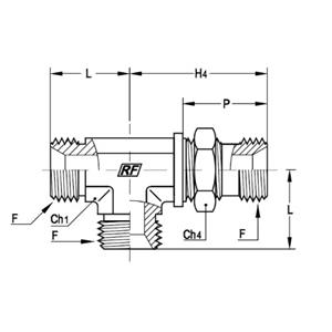 意大利RACFLUID 60° BSP 锥形密封管件4TUPD-1.1/2