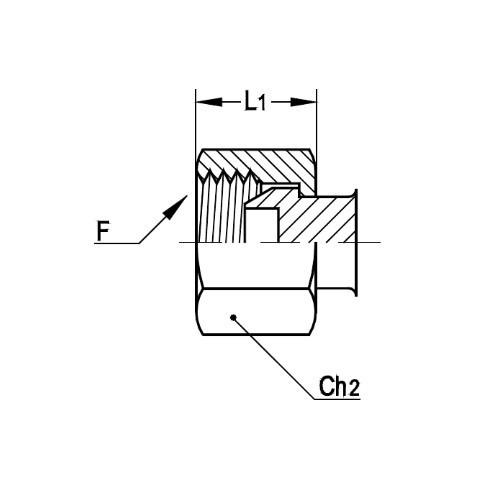 意大利RACFLUID 60° BSP 锥形密封管件4JF-1.1/2