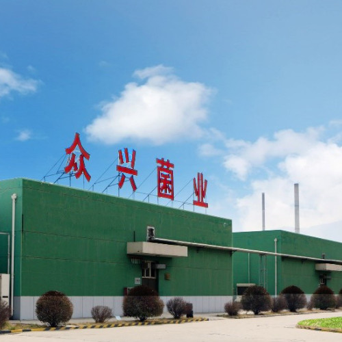 天水众兴菌业科技股份有限公司