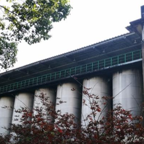 上海金枫酒业股份有限公司