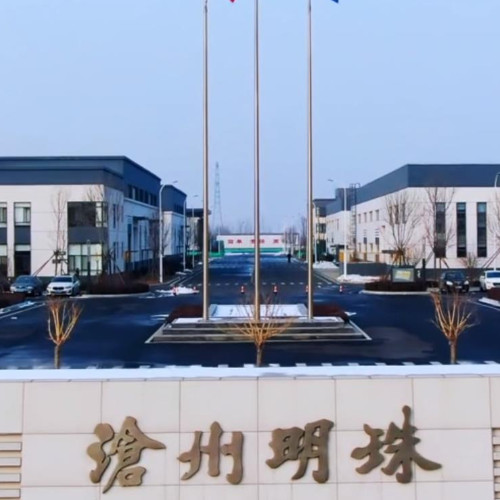 沧州明珠塑料股份有限公司.jpg