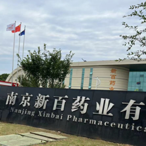 南京新百药业有限公司