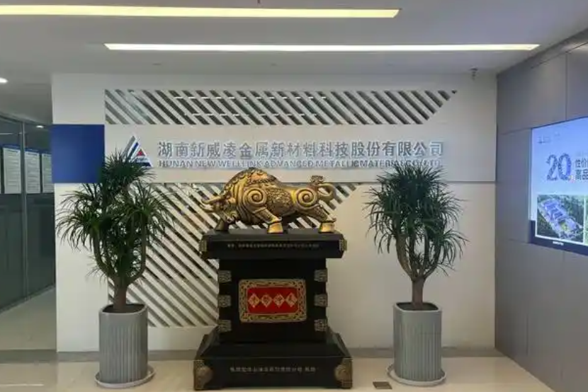 湖南新威凌新材料有限公司