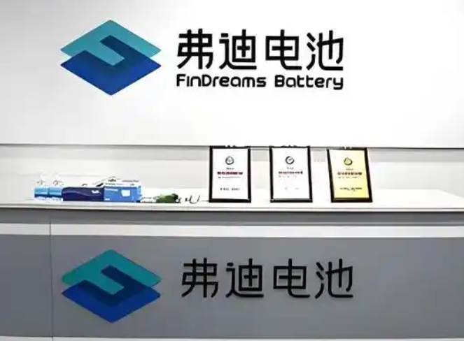 长沙弗迪电池有限公司