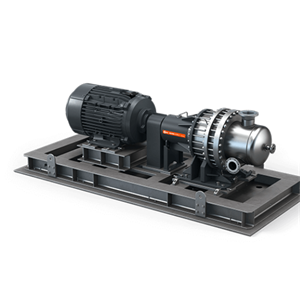 BUSCH普旭DOLPHIN LN 3002 A (Preliminary)液环压缩机