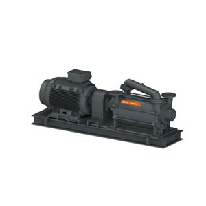 BUSCH普旭DOLPHIN LB 1757 A液环真空泵