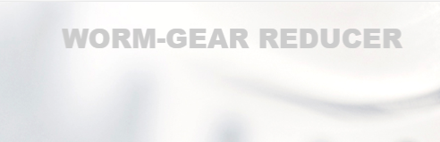 德国WORM REDUCER沃瑞迈