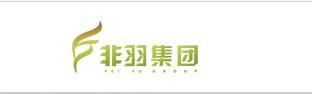 安徽非羽网络科技股份有限公司