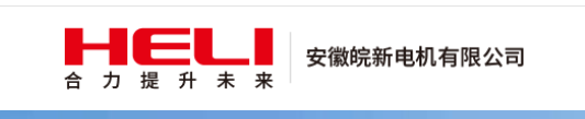 安徽皖新电机有限公司