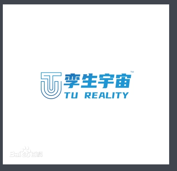 合肥孪生宇宙科技有限公司