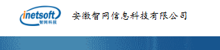 安徽智网信息科技有限公司